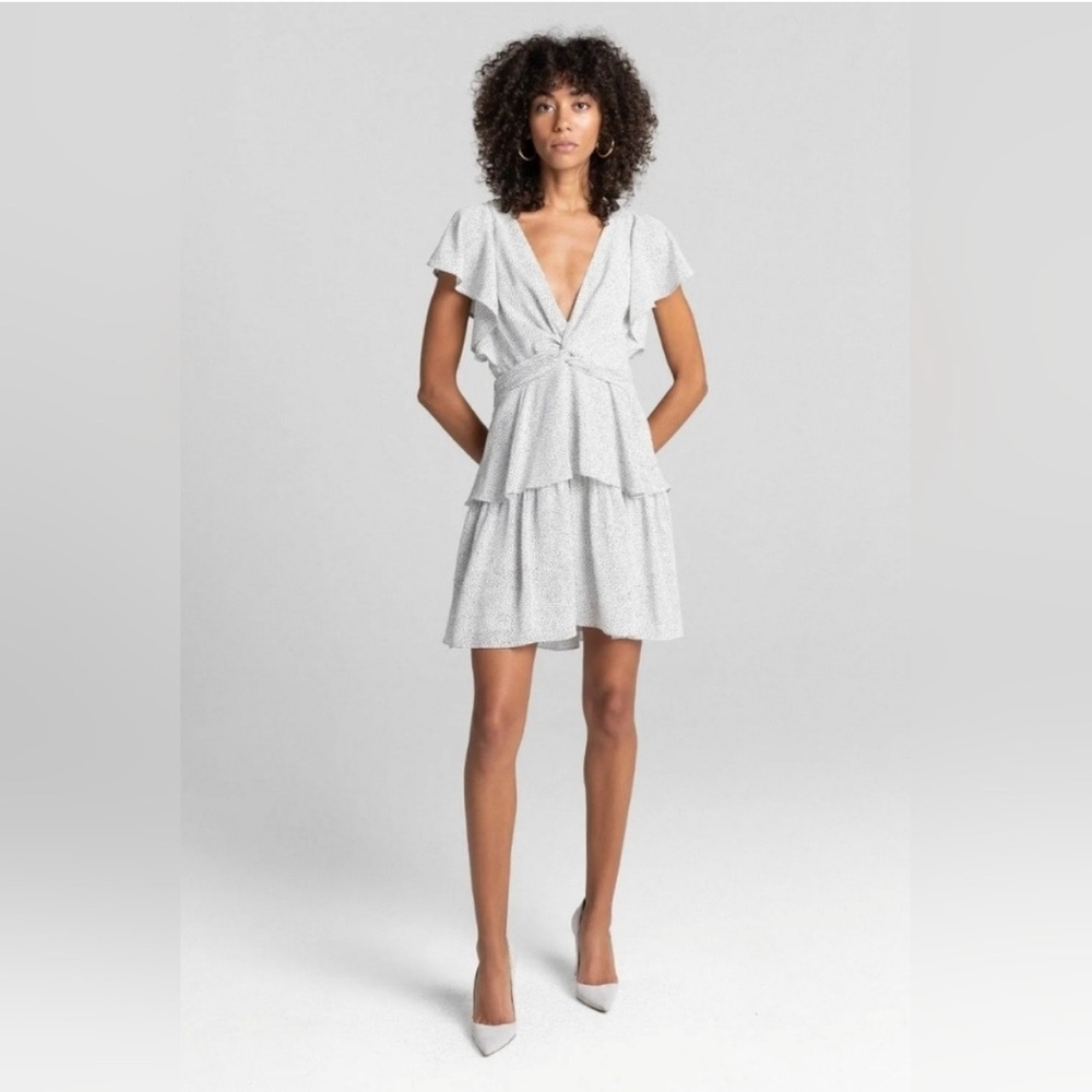 ALC 100% Silk Viera Dress size 4